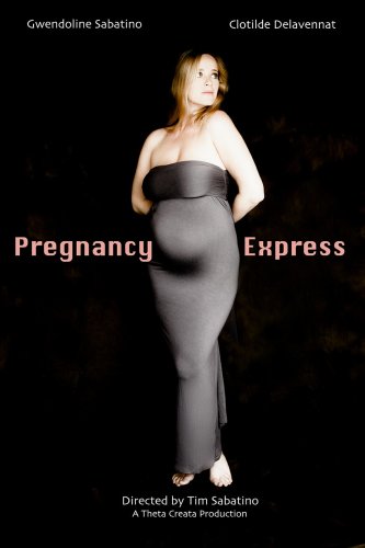 Pregnancy Express (2014)