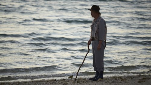 The Shell Collector (2017)